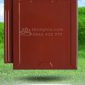 Ngói Viglacera T09